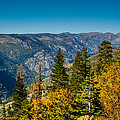 California Fall