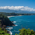 Hawaiian Paradise